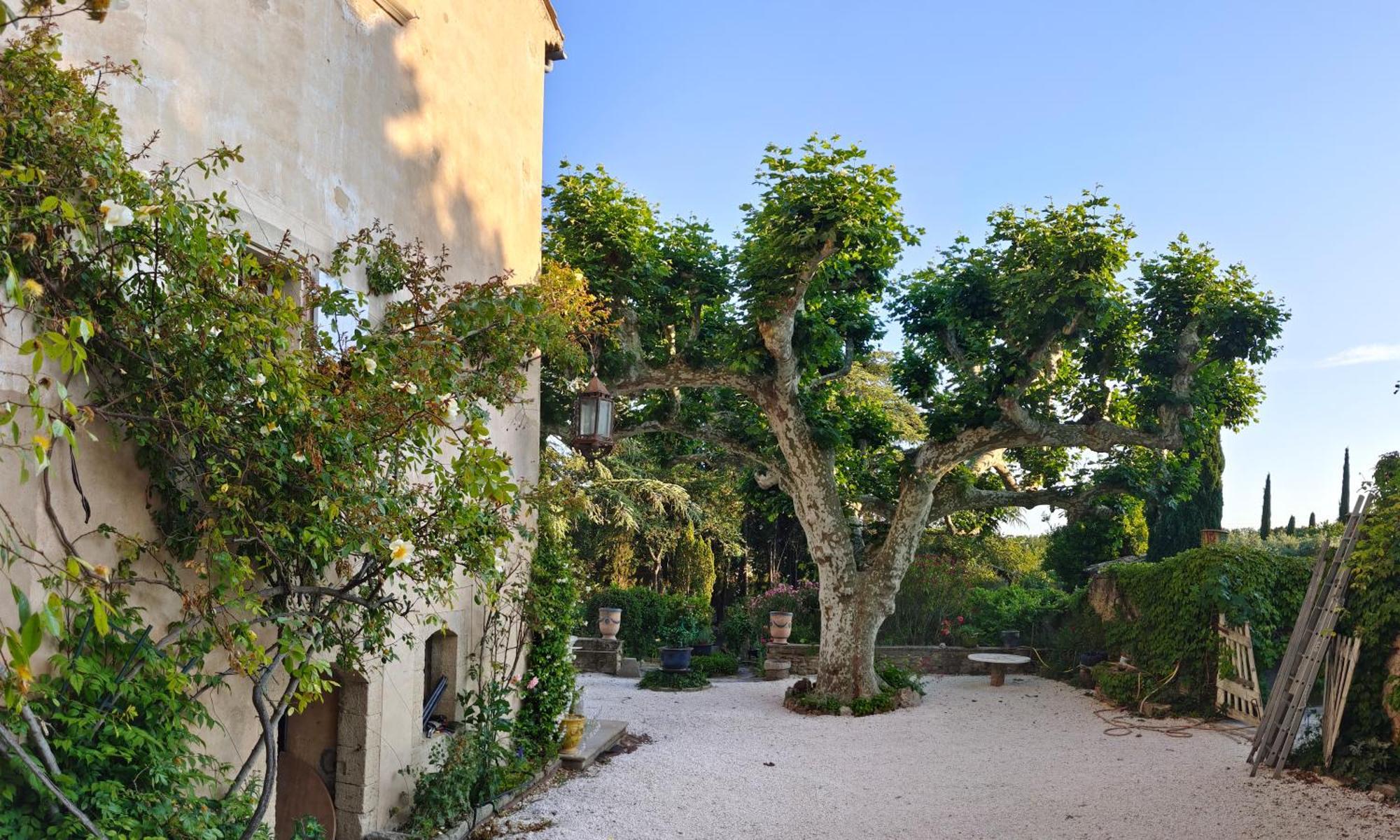 לינה וארוחת בוקר Rue Du Chateau A Cabrieres D'Avignon מראה חיצוני תמונה